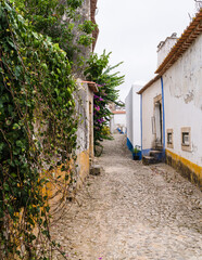 Fototapeta na wymiar Narrow small street of the old town with stone pavement, white walls of houses. 