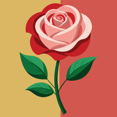 rose flower vector illustration 