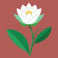 realistic water lily vector illustration 