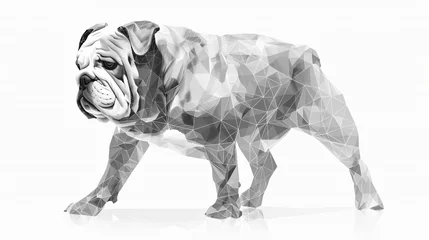 Wall murals French bulldog English Bulldog polygonal lines illustration. Abstract