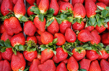 Strawberries in plastic baskets. Red, ripe and juicy strawberry.