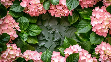Abwaschbare Fototapete Frame of beautiful flowers of pink hydrangea. © UsamaR
