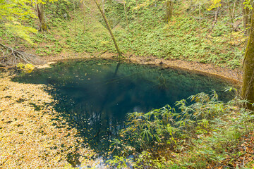 日本　青森県西津軽郡深浦町の白神山地西部に位置する湖沼群、十二湖の青池