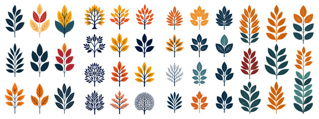 Botanical Elegance: Set of Vector Flowers