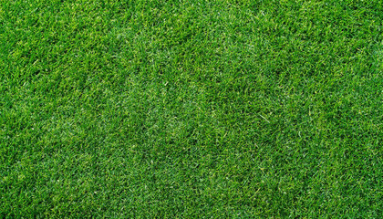 Obraz premium Green grass texture. Stadium grass. Green grass texture background Top view