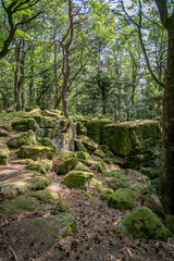 Fototapeta na wymiar Mont Sainte Odile, France - 09 11 2020: Path of the Gauls. Panoramic view of rocks and trees on top of the pathway.