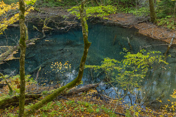 日本　青森県西津軽郡深浦町の白神山地西部に位置する湖沼群、十二湖の沸壺の池と紅葉.