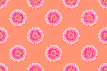 Repetitive pattern made of pink gerbera flower on a coral background. Floral composition.
