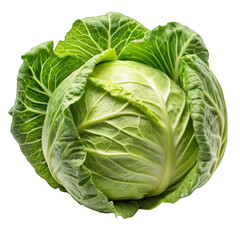 Fototapeta premium Fresh Organic Cabbage, Isolated on White Background – Healthy Vegetable for a Nutrient-Rich Salad and Wholesome Diet in Nature's Garden