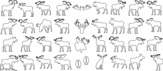 Fototapeta na wymiar Majestic moose outline, moose in diverse poses, perfect for educational, artistic inspirations. Simple, elegant, minimalistic design capturing the natural beauty of this iconic North American mammal.