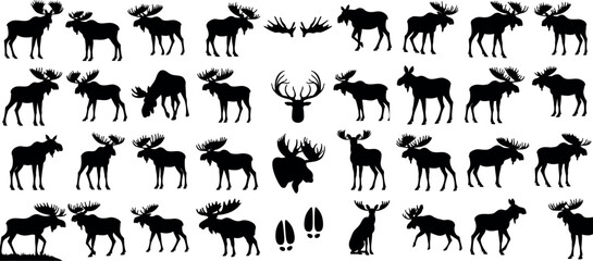 Moose silhouette vector, illustration, wild moose for wildlife design, standing, walking, eating, antlers, male, female, shapes, outline, profile, side, view of moose