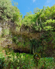 Vertical photo of the Fern Grotto in Wailua River State Park on the Island of Kauai, Hawaii