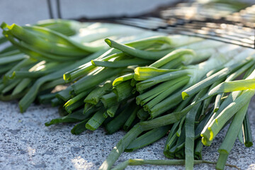 calçots, typical Catalan food, sweet onion, raw onion, prepared for cooking