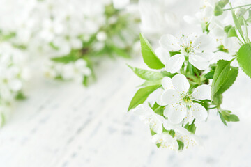Spring Easter background. Passover blooming white apple or cherry blossom on white wooden...