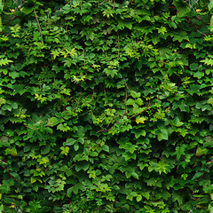 Seamless Green Wall Texture: High-Quality, Tileable Vertical Garden Image for Eco-Friendly Design