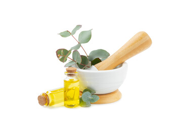 Eucalyptus leaves and mortar isolated on white background.Spa concept.Ingredients for alternative medicine and natural cosmetics. A bottle of essential oil and a bunch of eucalyptus. Organic skin care