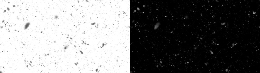 Snowflakes background. Falling snow down on the black background