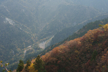 紅葉の御在所岳