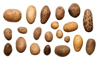 Fototapeta na wymiar Earthy Brown Potato Selection on white background
