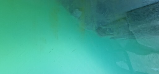 hippopotamus shortened to hippo  qualified as the common hippopotamus, Nile hippopotamus, or river hippopotamus, is a large semiaquatic mammal native to sub-Saharan Africa. It is one of only two extan