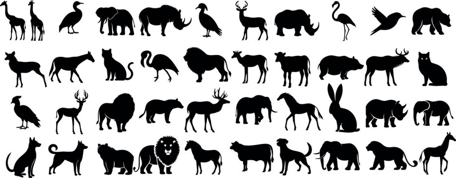 Faune silhouette collection d’animaux, parfaite pour logos, icônes, design graphique. Comprend éléphant, cerf, lion, chat, chien, oiseau, cheval, ours, girafe, chameau, cygne, kangourou, rhinocéros,