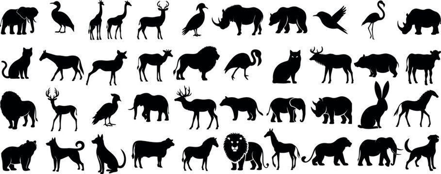 Wildlife silhouette, animal collection,  Includes elephant, deer, lion, cat, dog, bird, horse, bear, giraffe, camel, swan, rhino