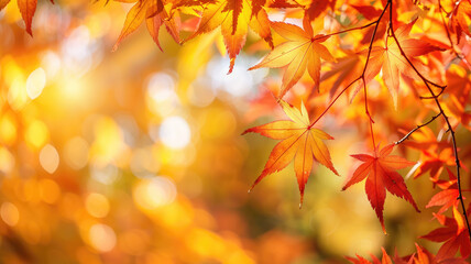 Fototapeta premium Beautiful yellow red and orange leaves in an autumn park Generative AI