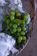 grapes in a basket