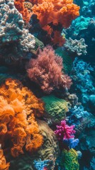 Fototapeta na wymiar corals seascape vertical background.