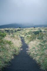 The path forks at the bottom of the hill