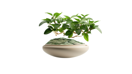 Gravity-Defying Planter Design on white background