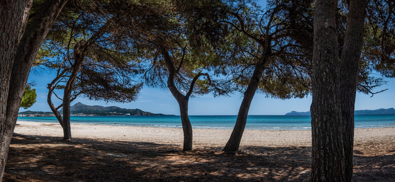 Alcudia beach, Alcudia, Mallorca, Balearic Islands, Spain