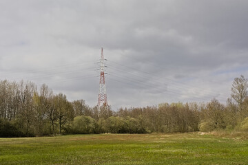 Obraz premium Electricity pylon over a meadow and spring forest in Damvallei nature reserve, Ghent, Belgium
