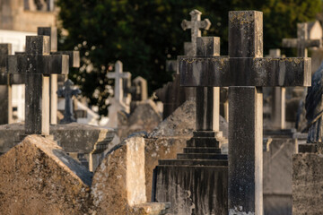 Fototapeta na wymiar Palma cemetery, crosses, Mallorca, Balearic Islands, Spain