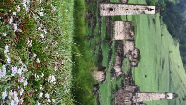 View of the medieval Targim tower complex in the Caucasus mountains surrounded by greenery. The Caucasus Mountains on a cloudy day in Ingushetia. Russia, 4K.