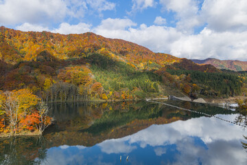 日本　青森県中津軽郡の大川白神橋から見えるの暗門川と鏡面に映った紅葉