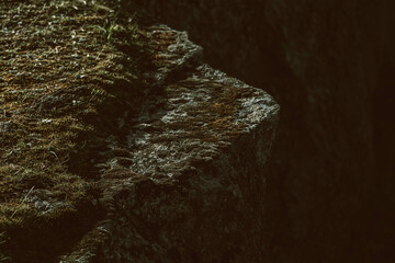 Musgo na pedra