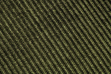 Olive color corduroy fabric texture as background
