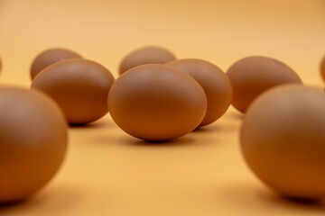 Chicken eggs on a yellow background