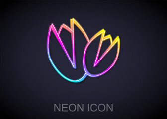 Glowing neon line Pistachio nuts icon isolated on black background. Vector