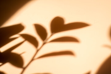 Shadow of leaves on a beige background, Wall light with shadows, shadow on beige wall background texture.