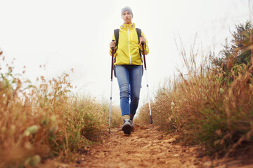 Hiking, woman and exercise with trekking pole in a bush path or forest trail for walking, workout...