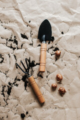 Small garden tools with a wooden handle lie on crumpled paper strewn with soil. several crocus...
