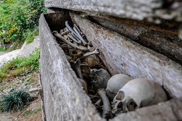 Rock tombs in Tana Toraja, Sulawesi, Indonesia