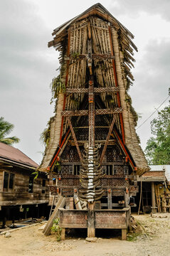 Buffalo horns on the facade of a Toraja house