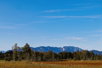 Moorlandschaft am Kirchsee mit Blick auf Brauneck und Benediktenwand, Alpen in Oberbayern,...