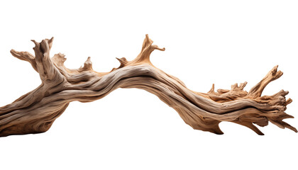 wooden driftwood on a white background.