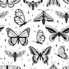 vector pattern of butterflies in sketch style