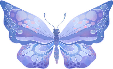 Cartoon beautiful butterfly on a white background