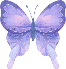 Cartoon beautiful butterfly on a white background